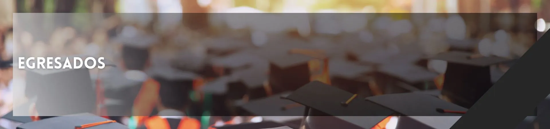 egresados