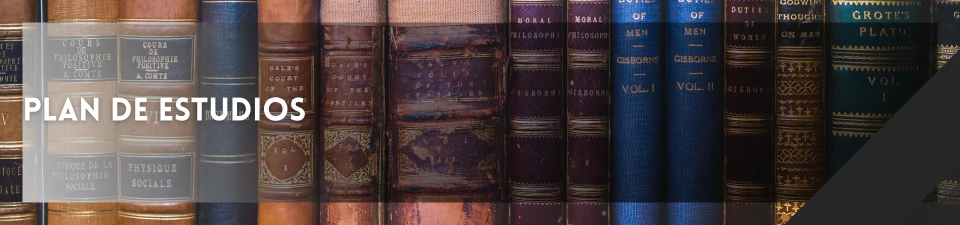 banner plan estudios